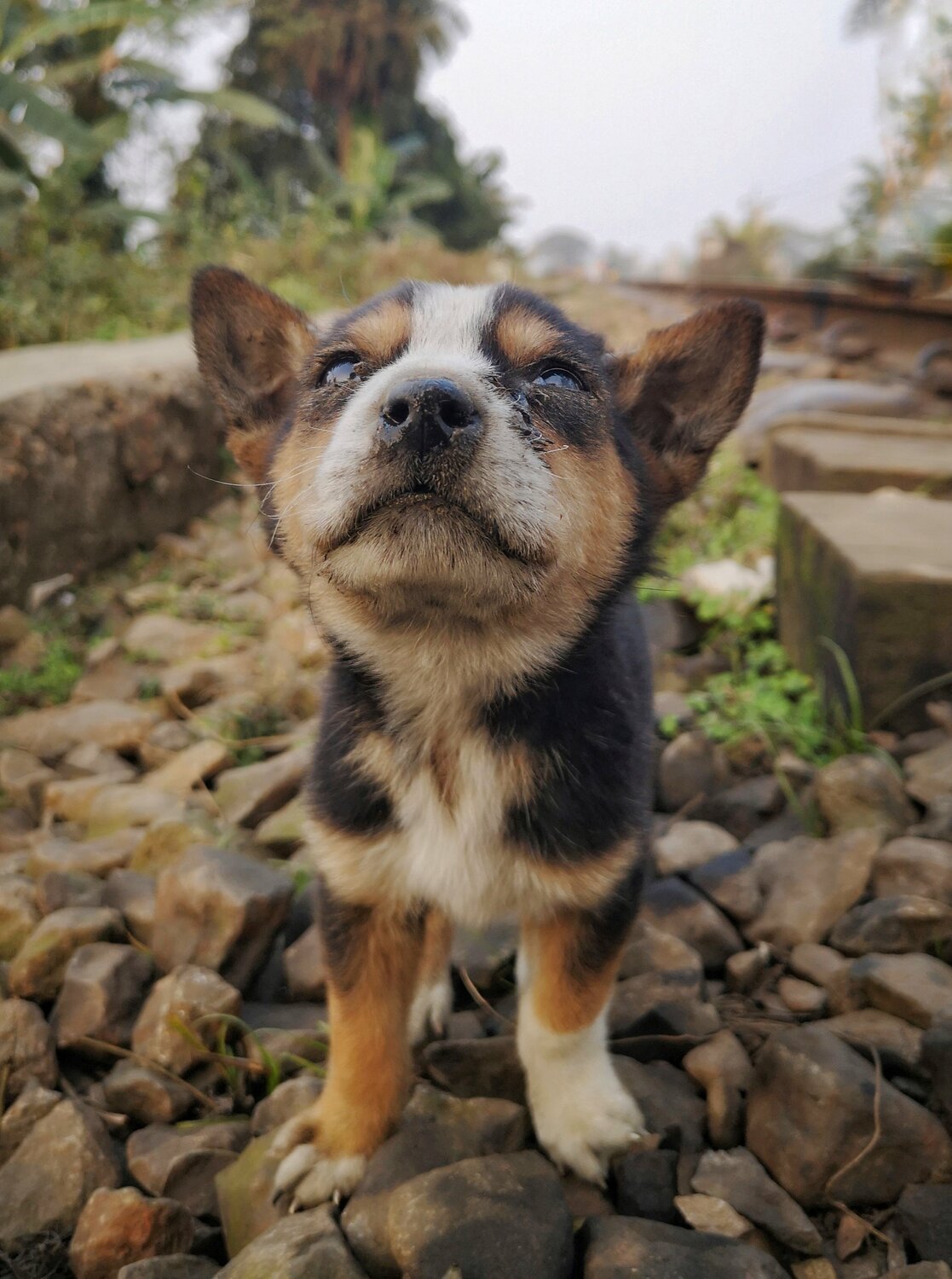 Photo #4752119