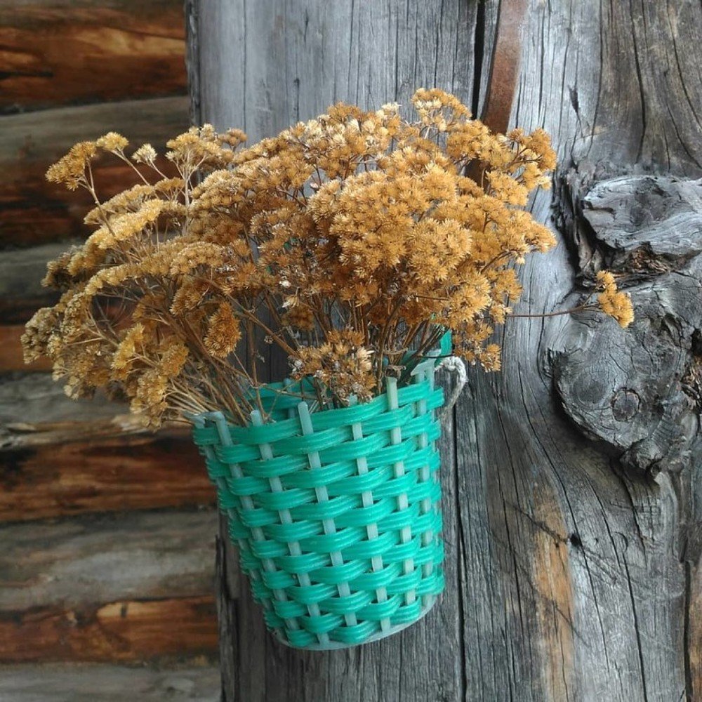 Photograph by Юлия Гагарина