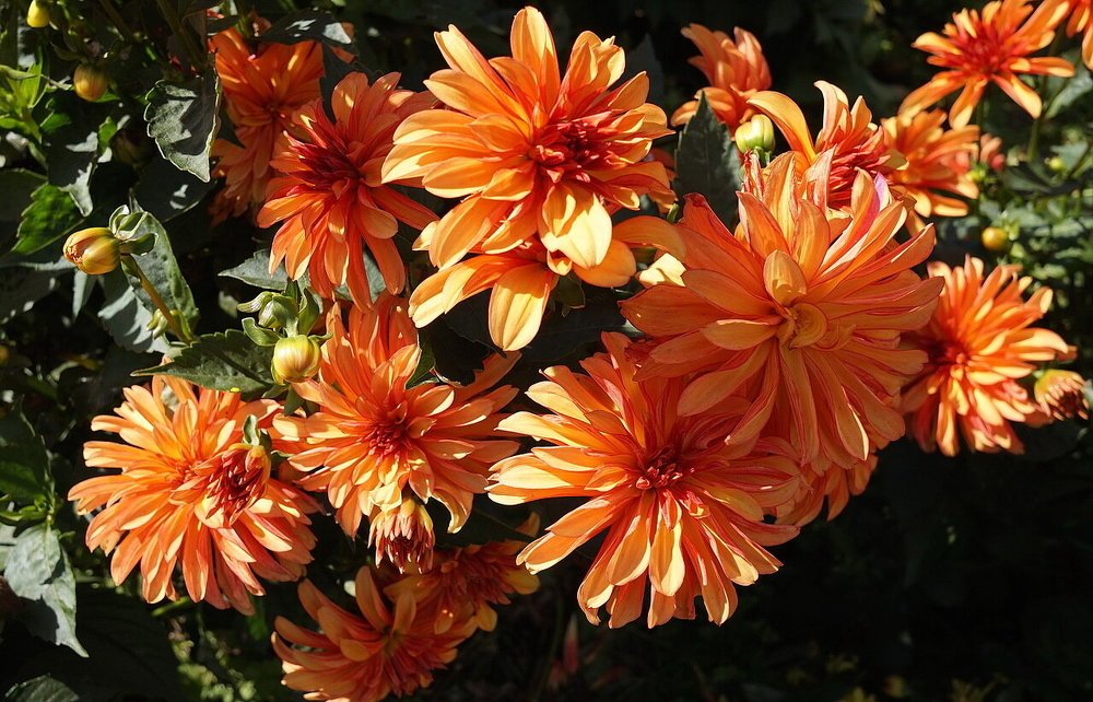 Photograph by АЛЕКСАНДР ЦЫГЕЛЬНЮК