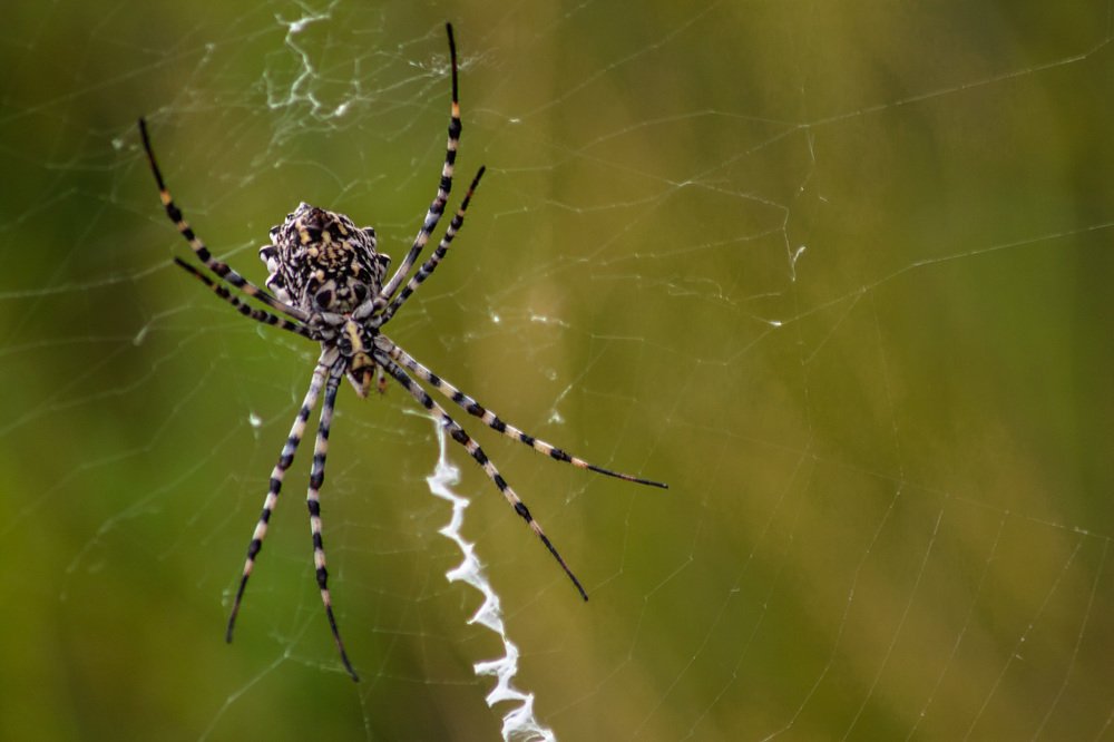 Photograph by miguel angel callejas