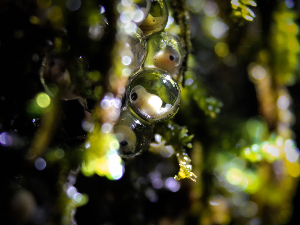 Photograph by Rohan Panchal