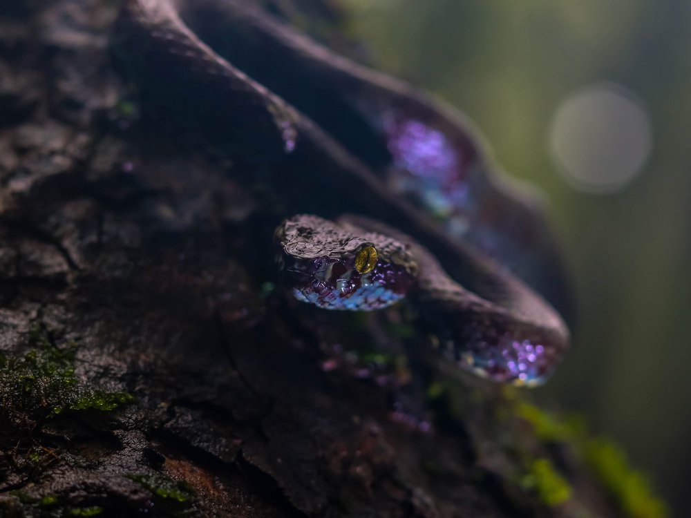 Photograph by Rohan Panchal