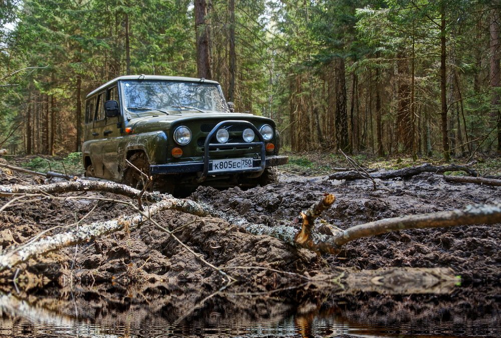 Photograph by Евгений Жиляев