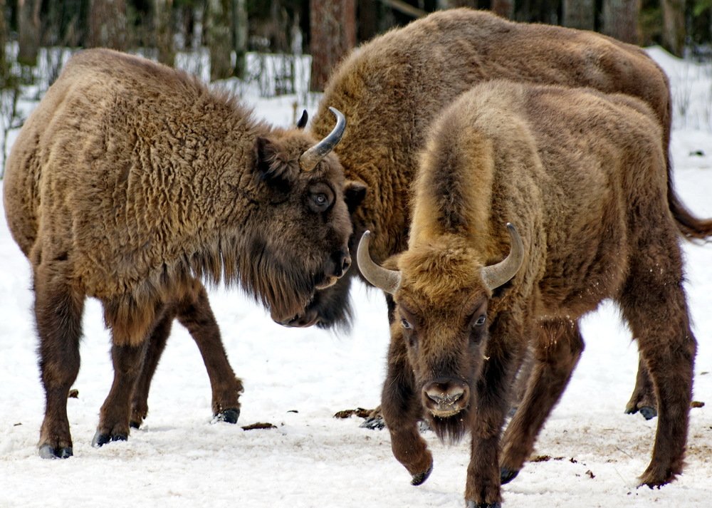 Вот так встреча