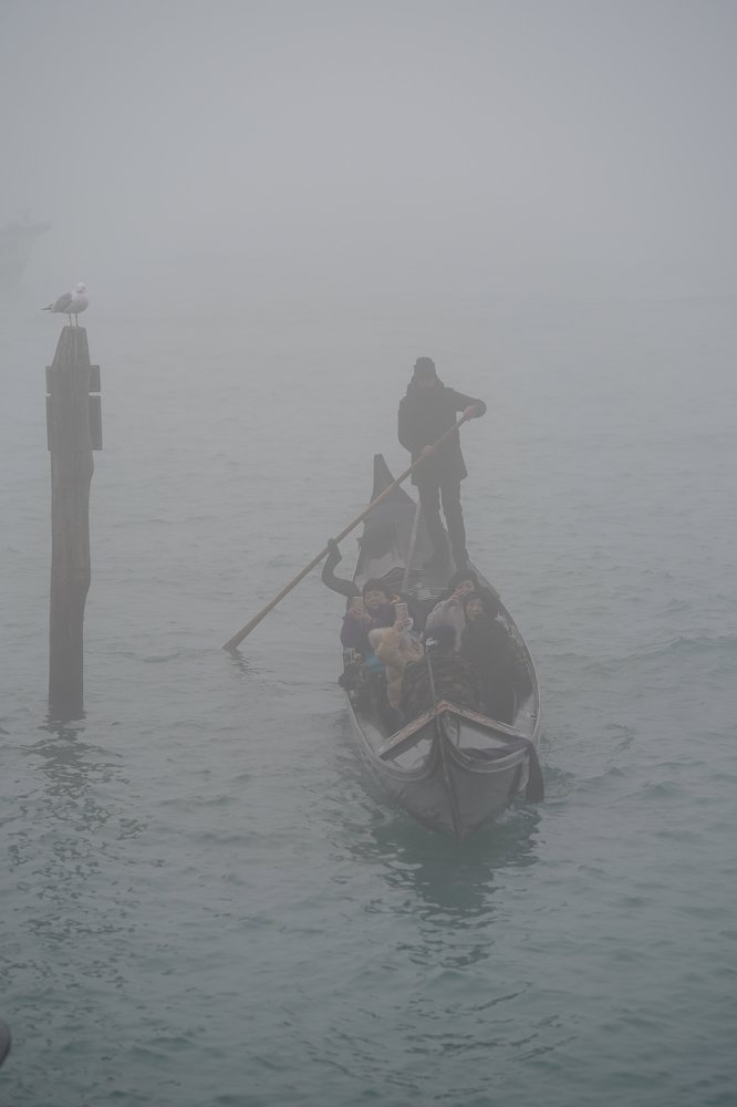 Photograph by Татьяна Пронина