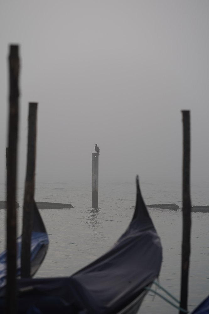 Photograph by Татьяна Пронина