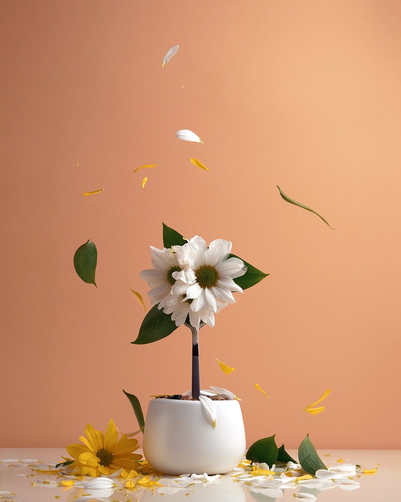 Photograph by Татьяна Пронина