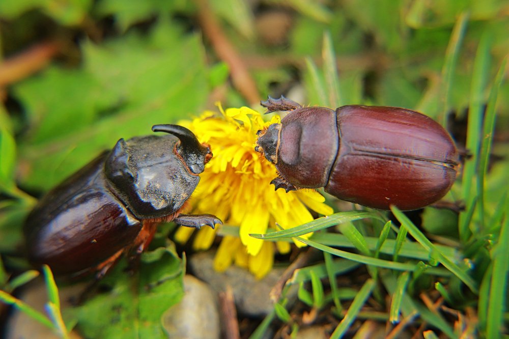 Весна пришла