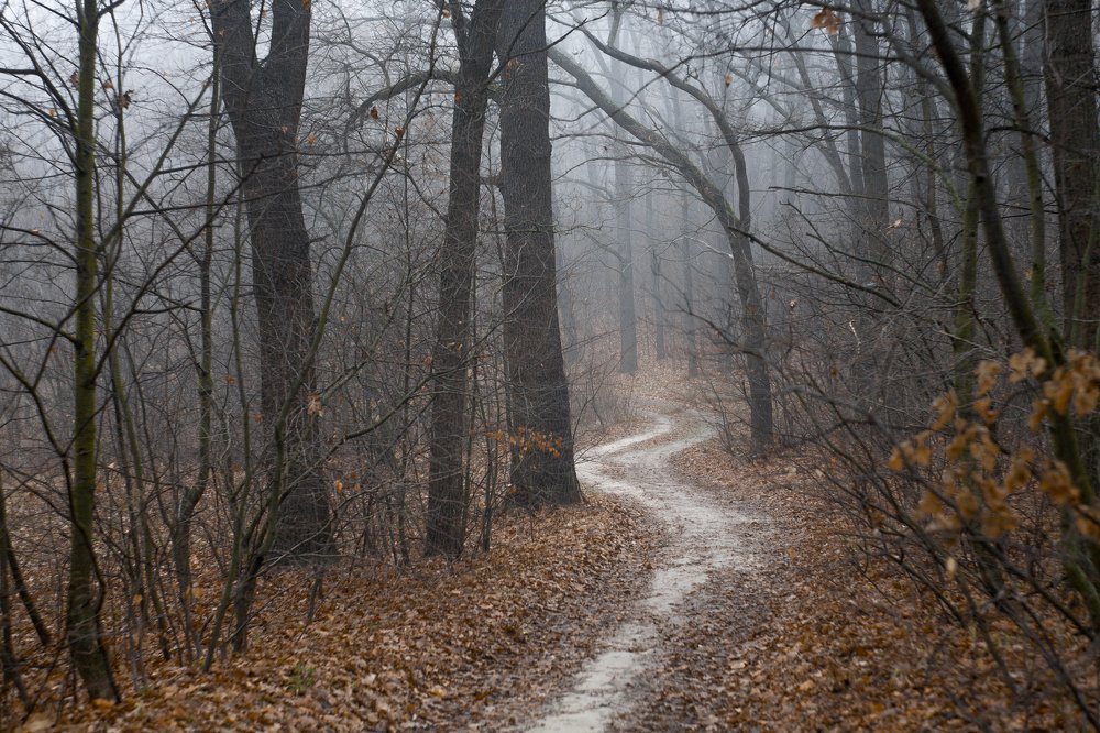 Photograph by Александр Плисик