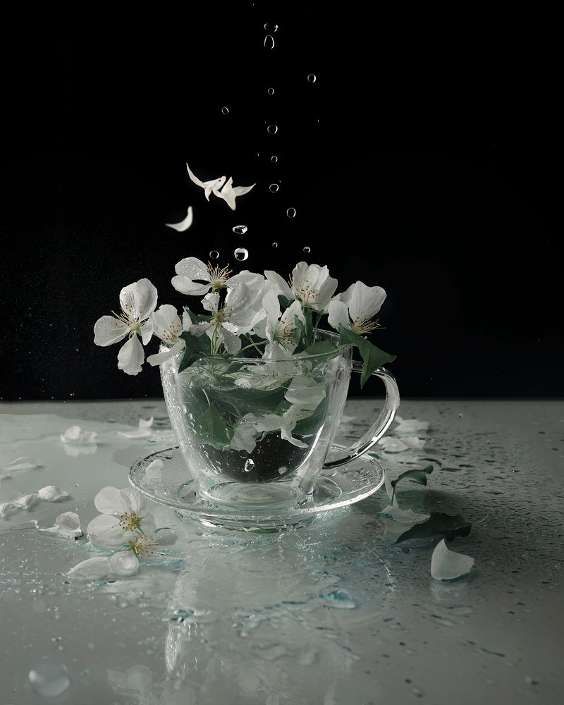 Photograph by Татьяна Пронина