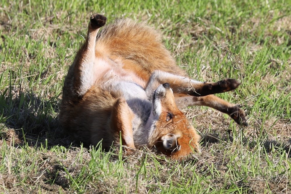 Photograph by Pauline Doran