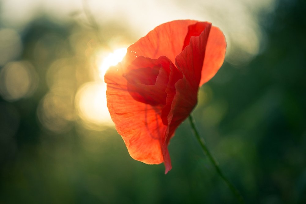 Photograph by Татьяна Рутковская