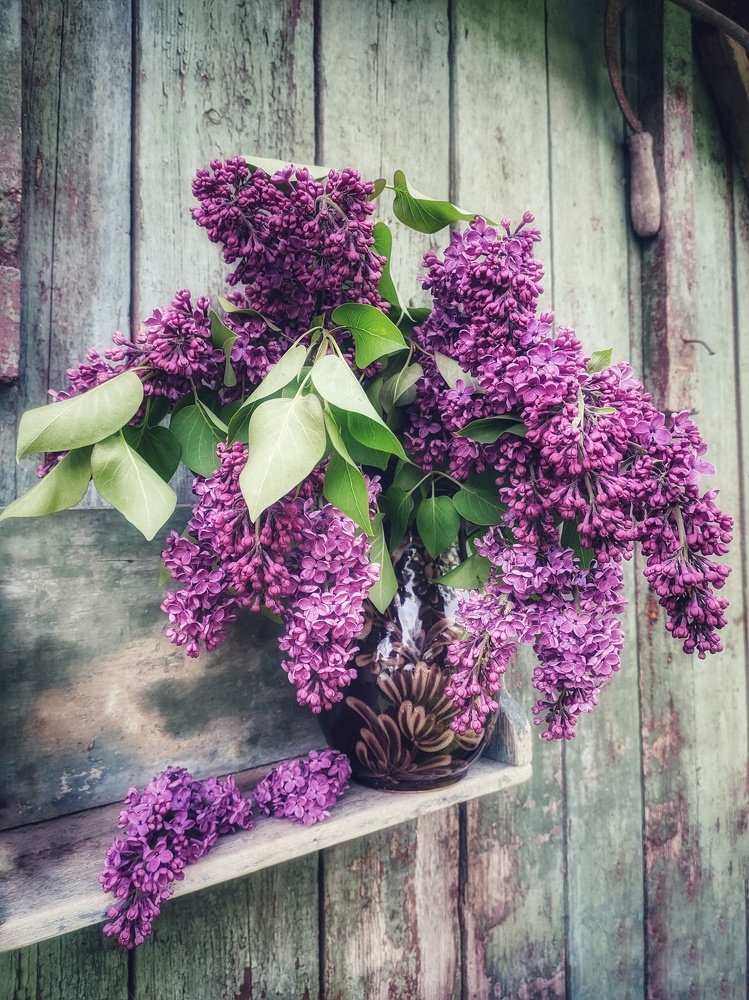 Photograph by Наталья Егорова