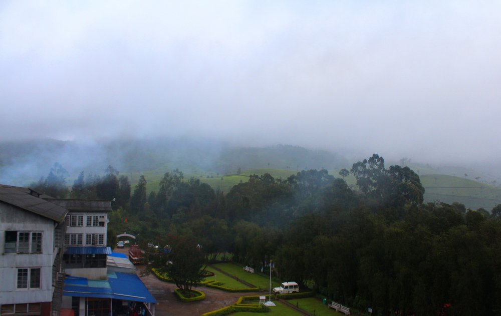 Munnar, Kerala