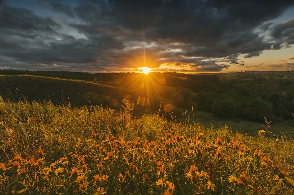 Есть только миг