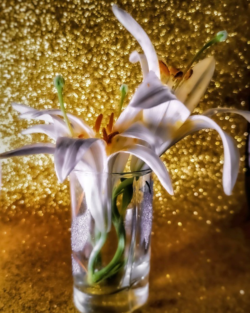 Photograph by Оксана Маракушина