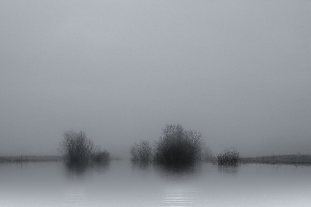 Photograph by Сергей Шмелев