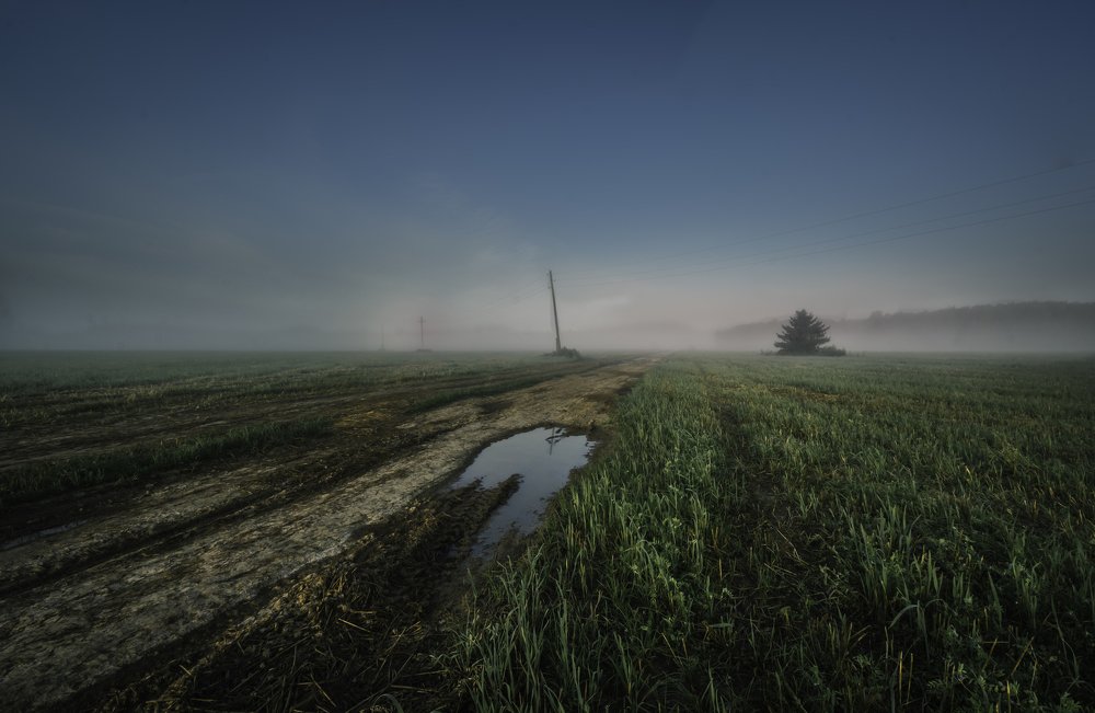 Дорога в  сказку