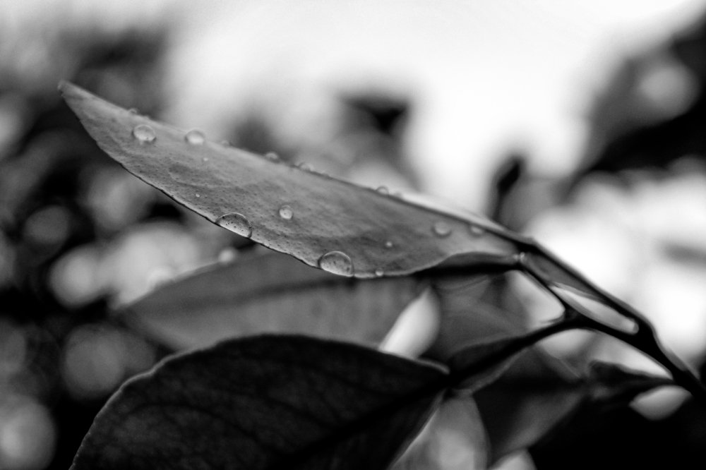 Photograph by Noora HT