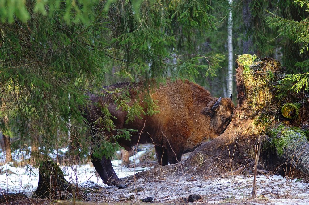 Photograph by Светлана Ульянова