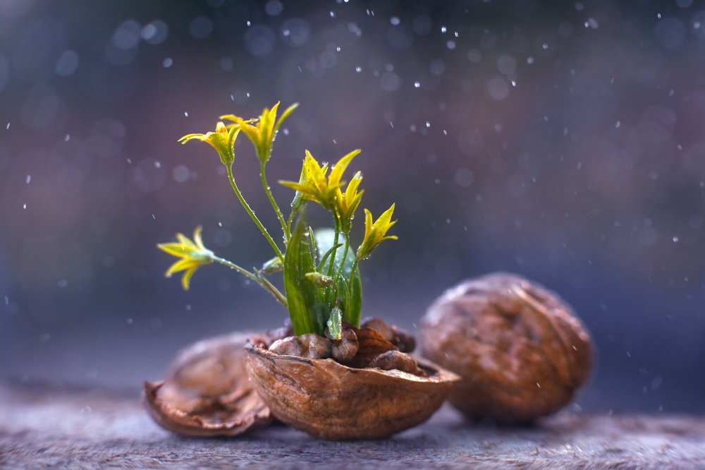 Photograph by Алина Евсеева