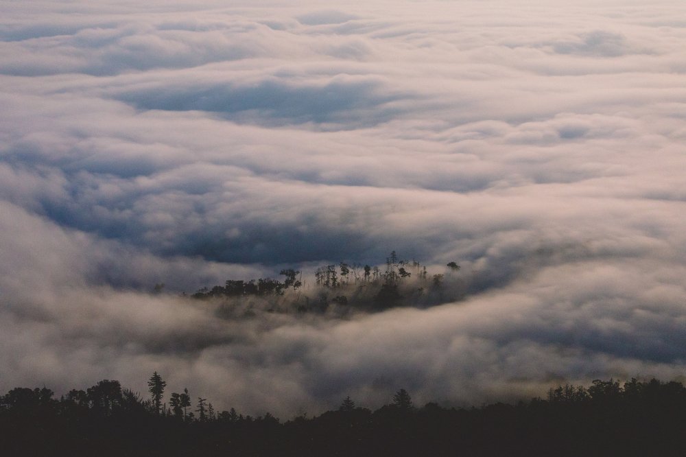 Photograph by Александр Еманаков