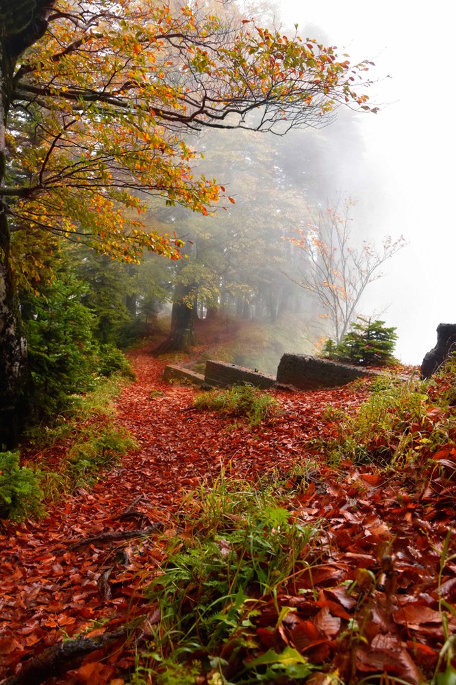 Photograph by Giorgi Tsabadze