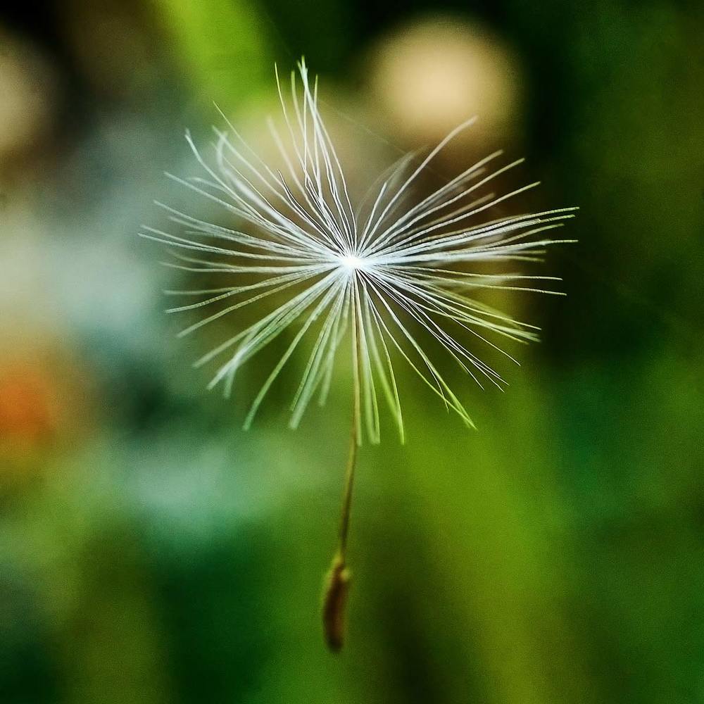 Фотография автора Сергей Низовцев