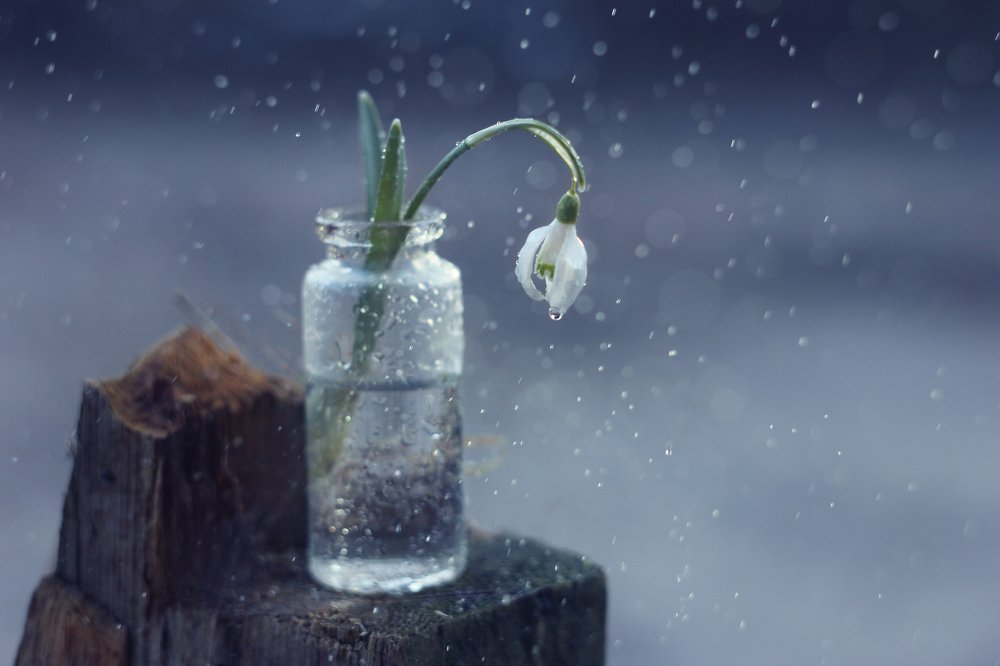 Photograph by Алина Евсеева