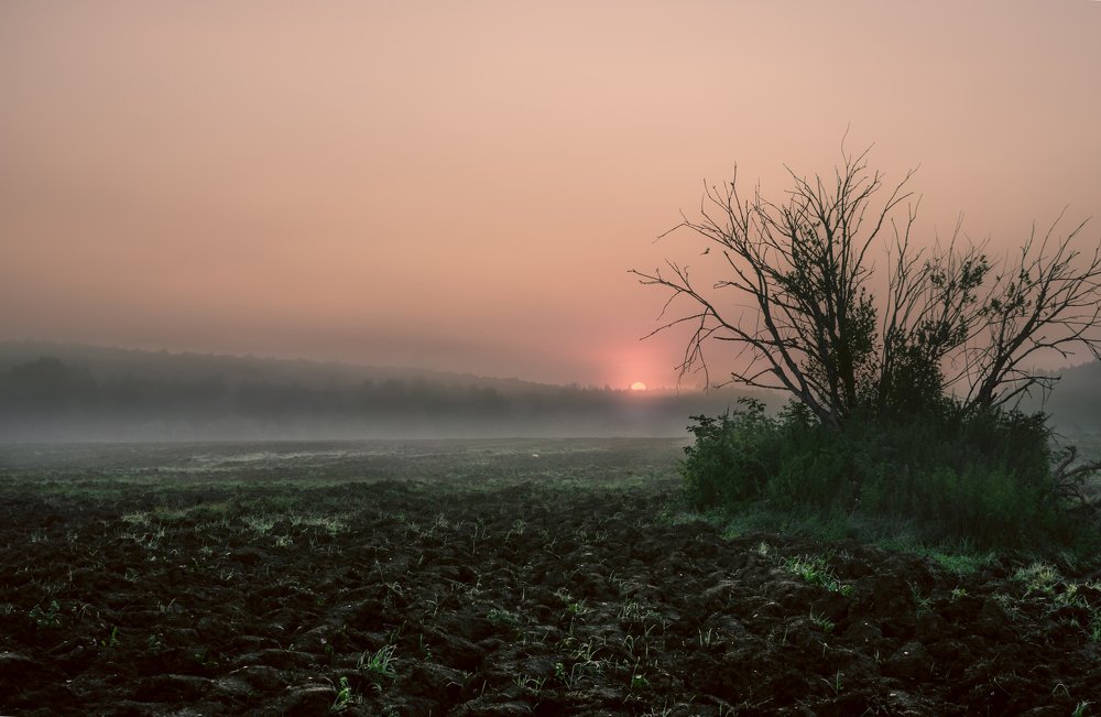 Расвет  в дымке