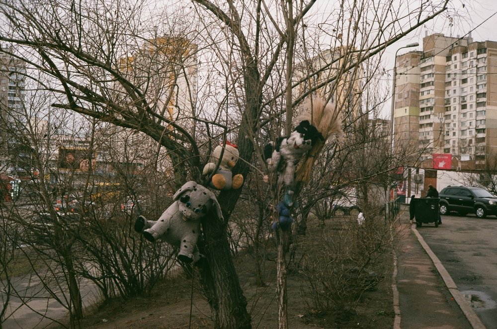 Photograph by Катерина Дорошина