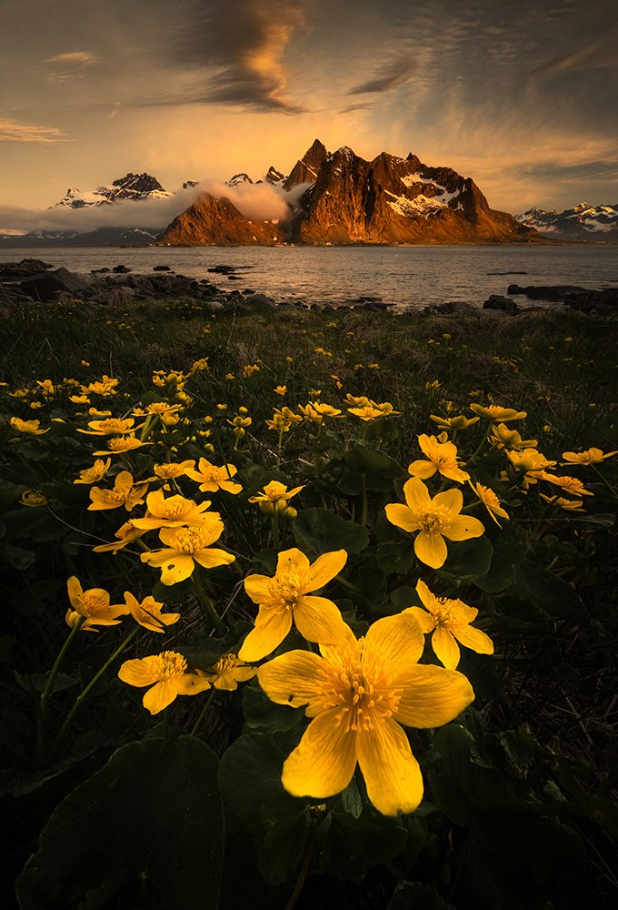 Photograph by Giulio Cobianchi