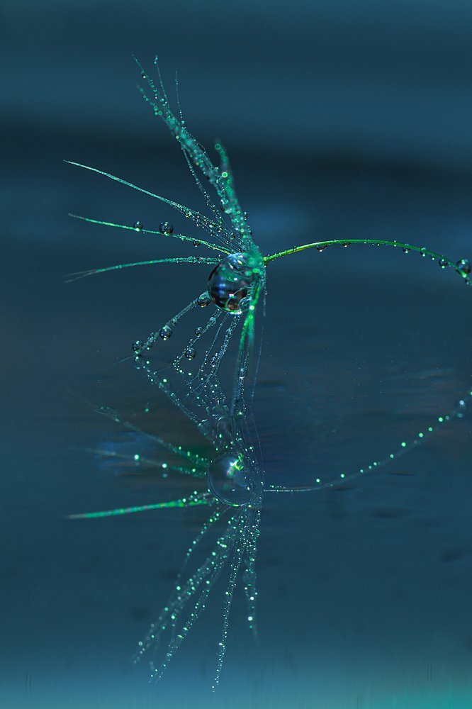 Photograph by Виктор Чернюк