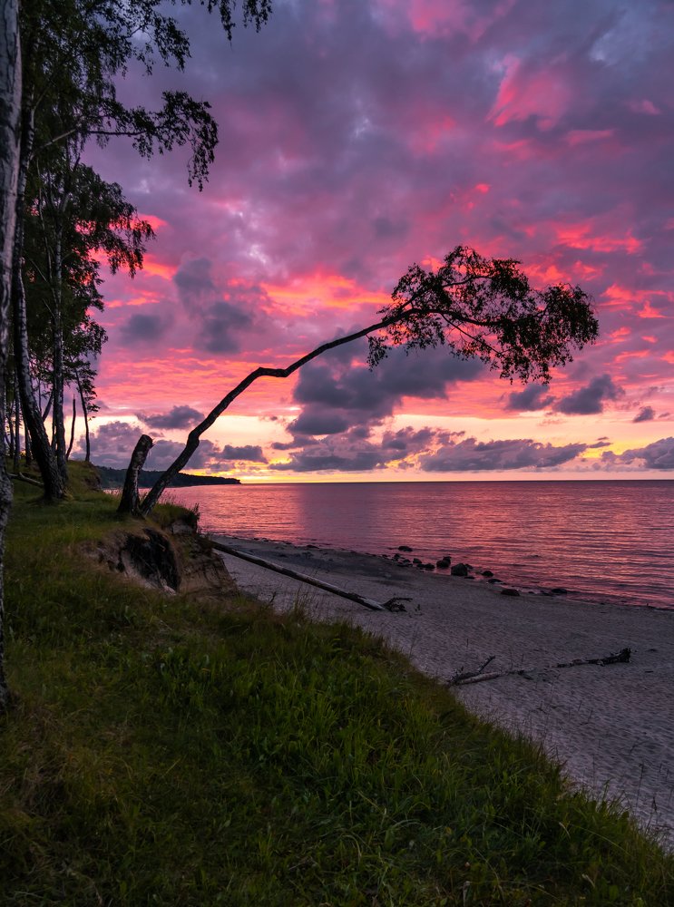 Photograph by Максим Мальцев