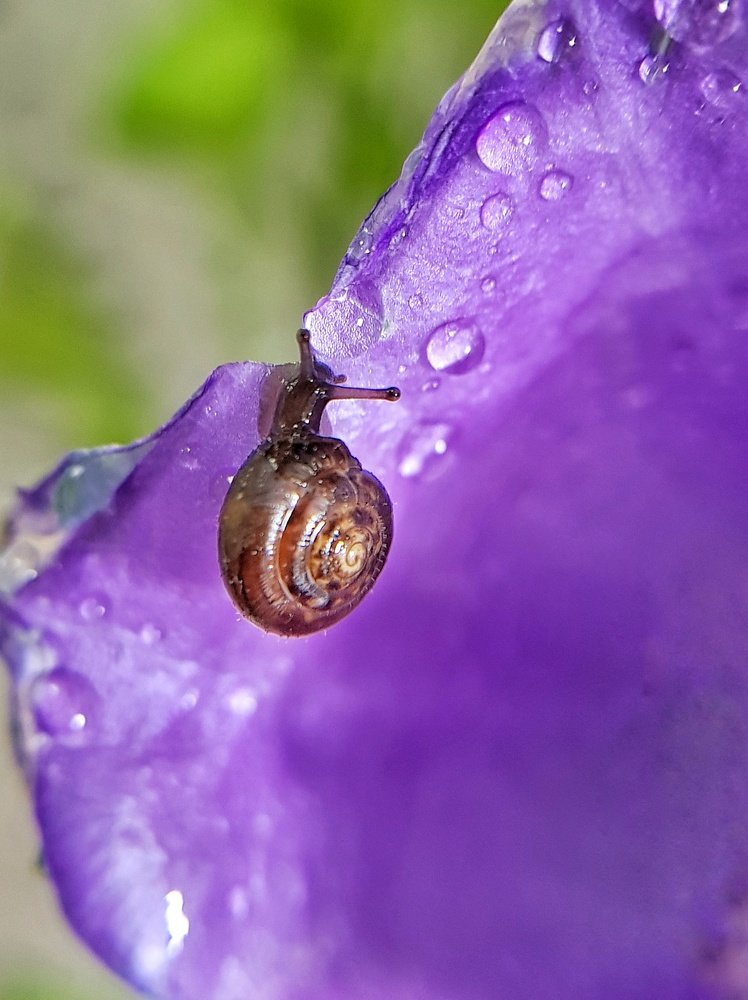 Photograph by Екатерина Вивюрская
