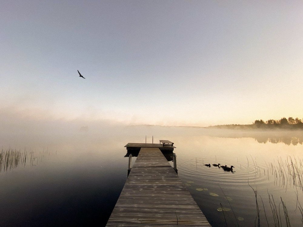 Photograph by Эллина Норонен