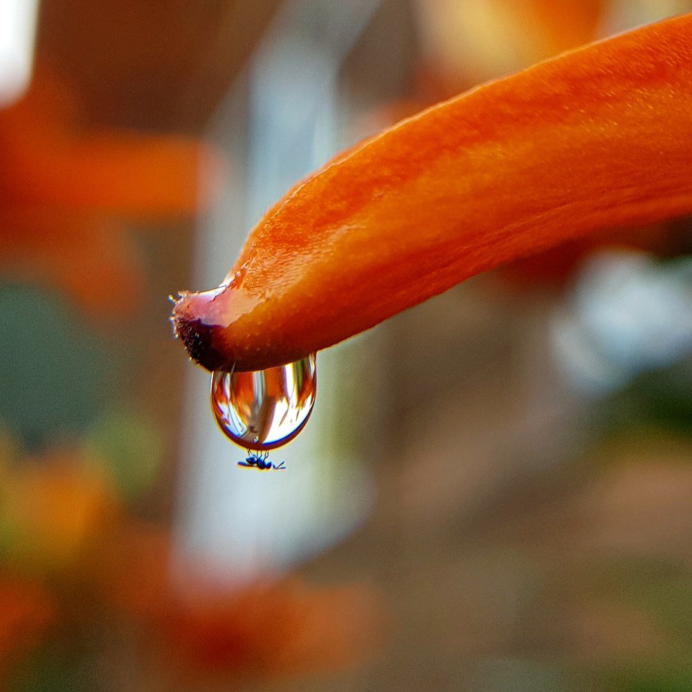 Photograph by Екатерина Вивюрская