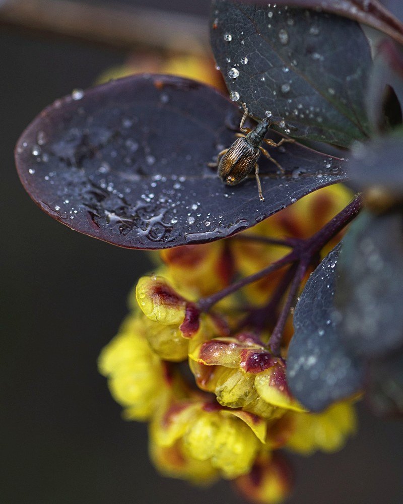 Photograph by Екатерина Вивюрская