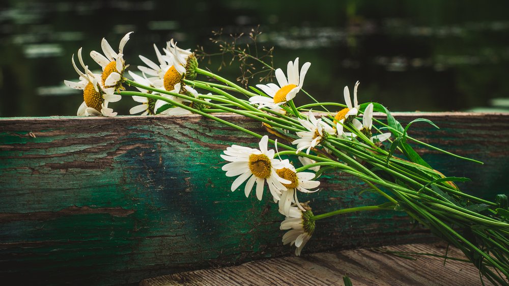 Photograph by Евгений Калагаев