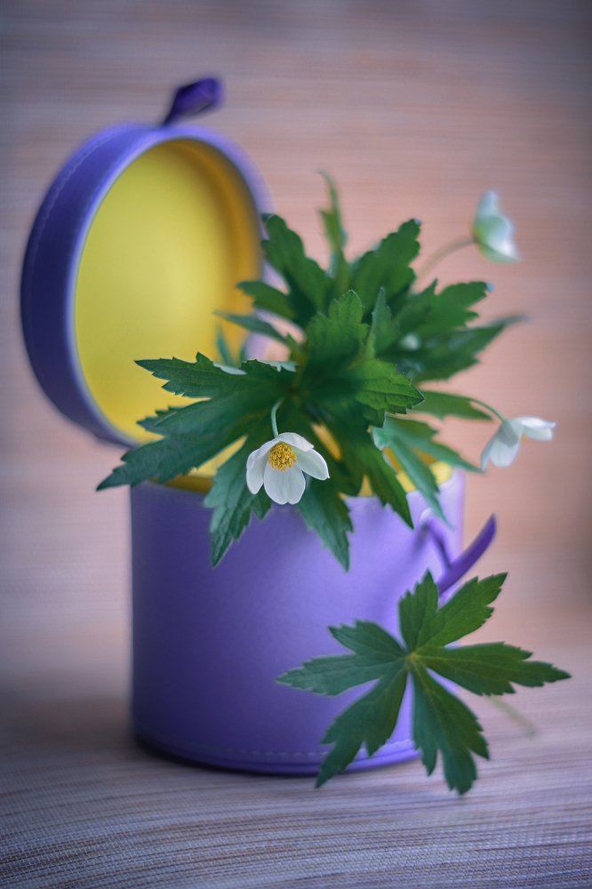 Photograph by Воинкова Ирина