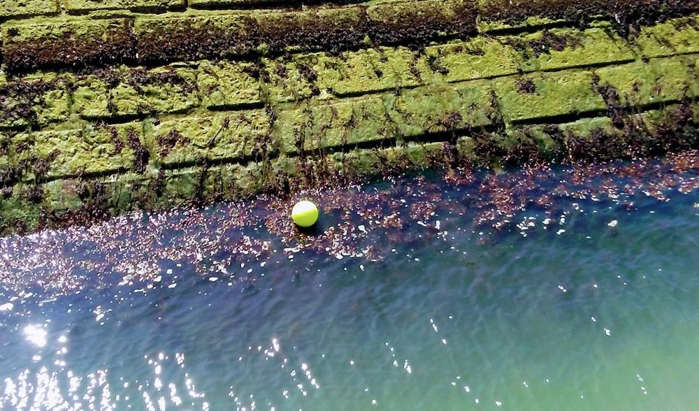 Фотография автора Valentin Claes