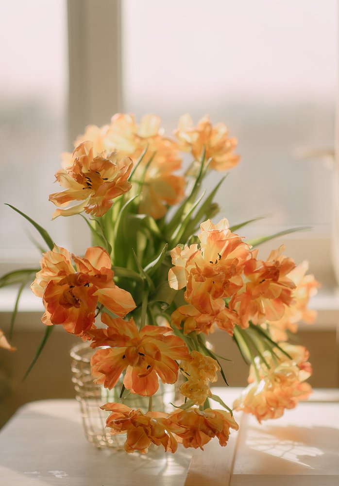 Photograph by Алена Власко