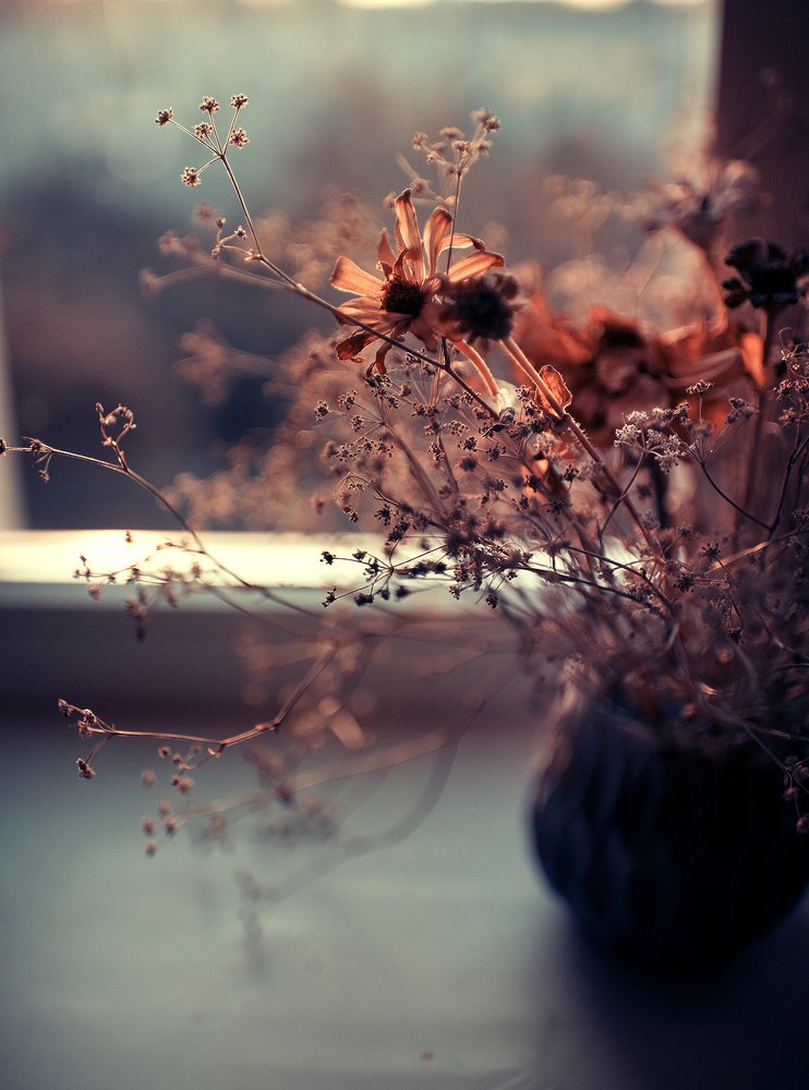 Photograph by Алена Власко