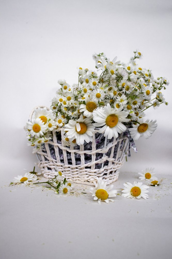 Photograph by Ольга Василевская