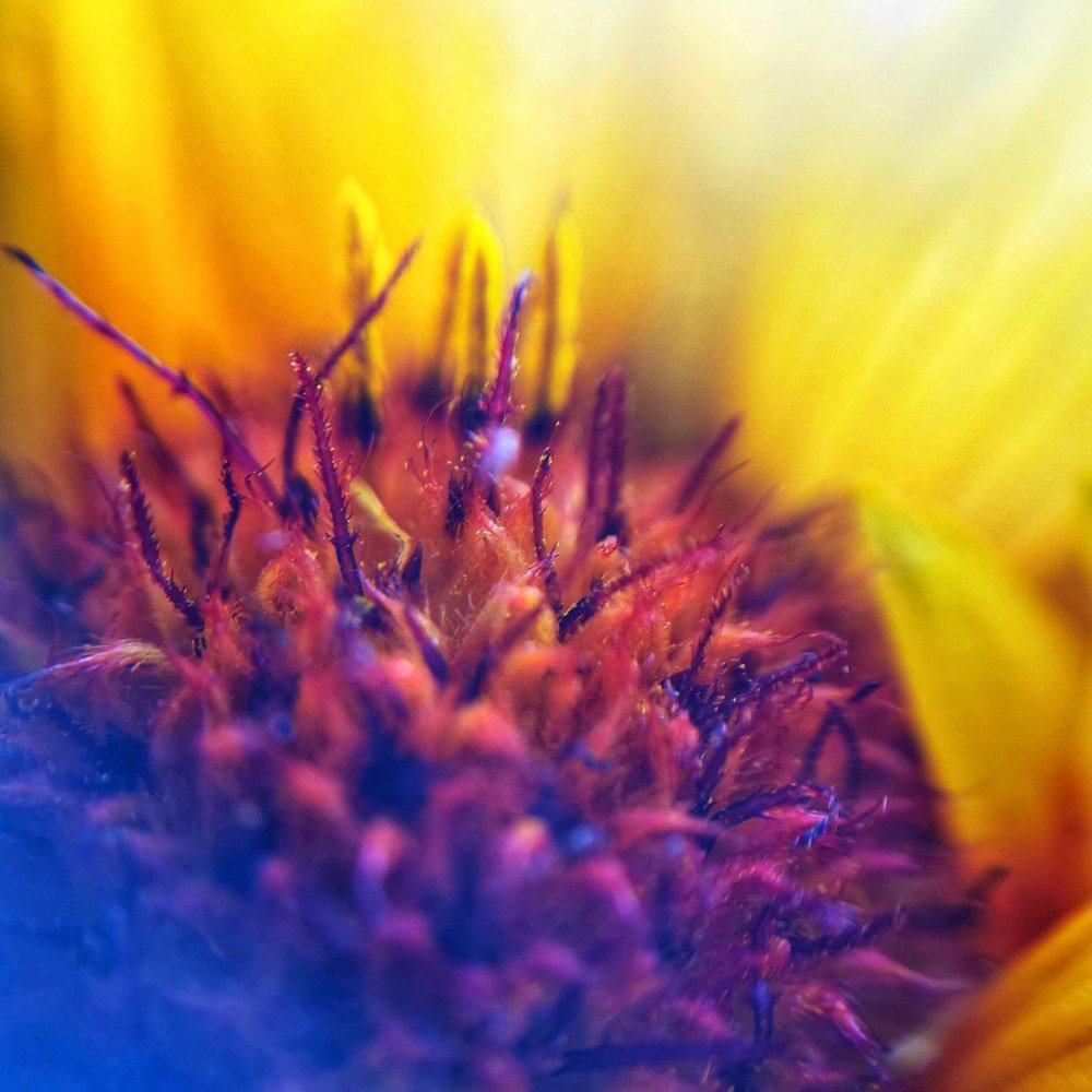 Photograph by Оксана Божко