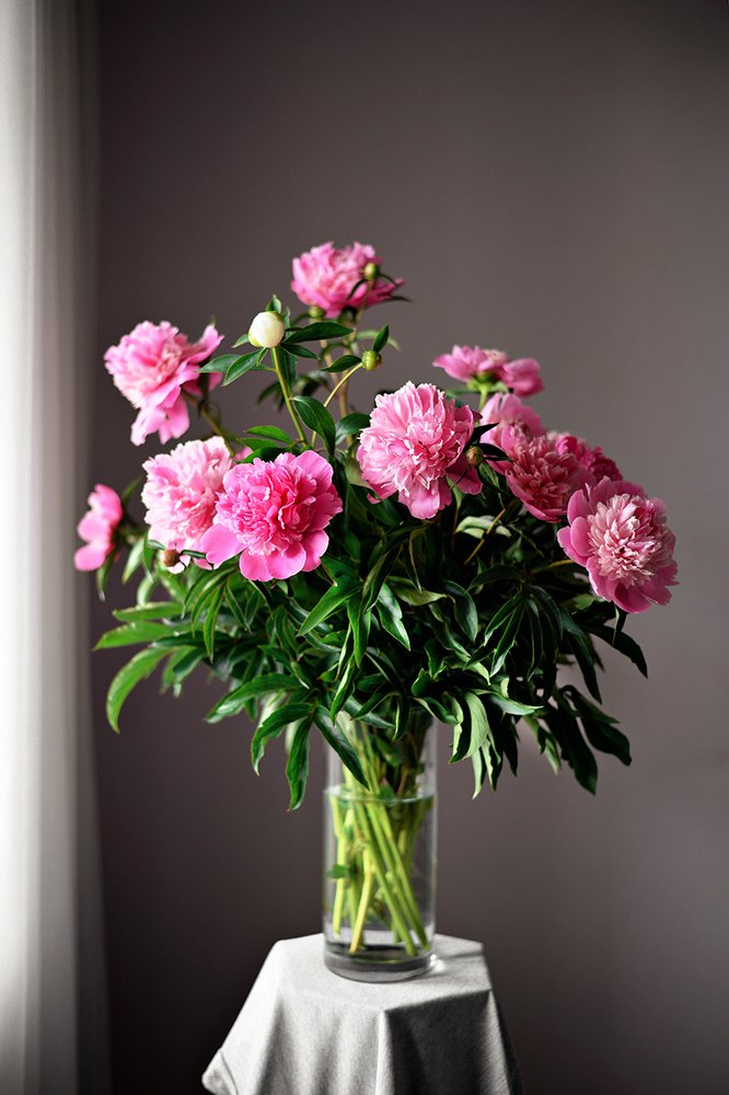 Photograph by Татьяна Скляр