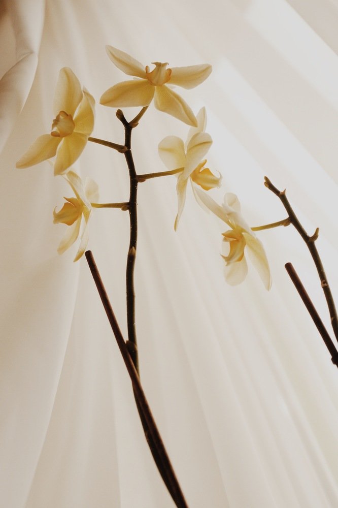 Фотография автора Елизавета Иваськевич