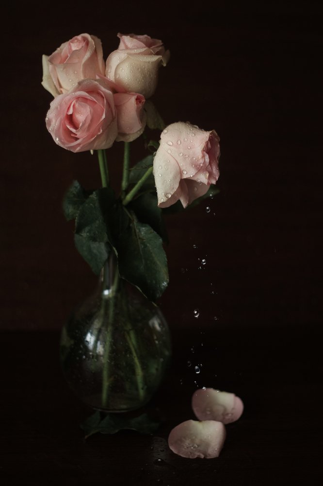 Photograph by Ольга Василевская