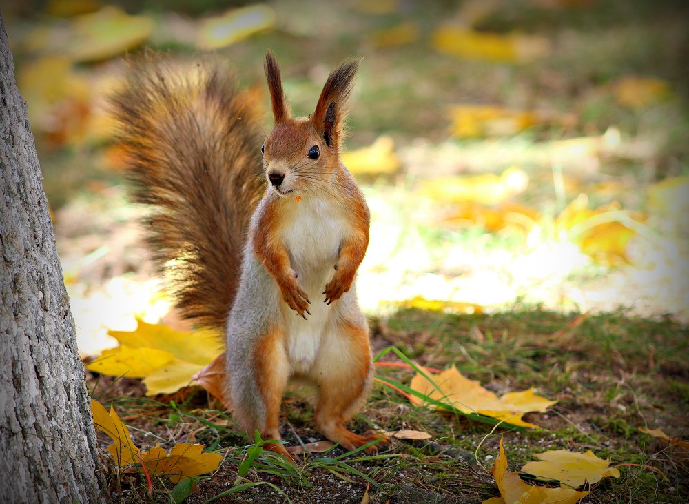 Photograph by Galina Tsmyg