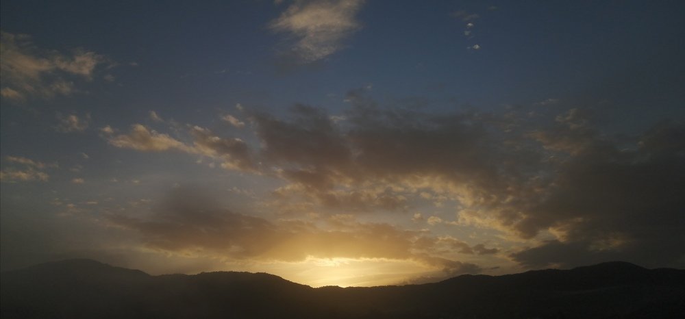 Photo #4753317